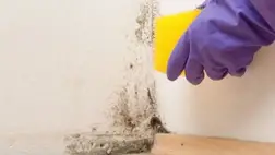 Asztmát okoz a hőszigetelés