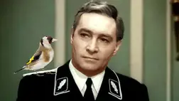 Ott ültek a képernyő előtt az egyszerű beregardói falusi asszonyok, akik számára oly ismeretlenül és idegenül csengett a Stirlicz név, ezért egy idő után egymás között már csak Stiglincként emlegették. Címlapképünk illusztráció. Fotó: Internet