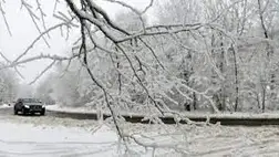 Az elmúlt tíz év leghidegebbje volt Magyarországon a tavalyi