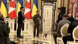 Zelenszkij kitüntetett egy kutyát, a kis terrier életeket ment