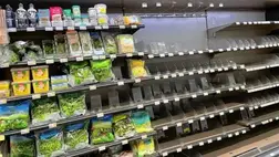 Üres polcok Ausztriában: csúcstalálkozót tartanak az élelmiszerellátás biztonságáról