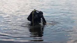 A búvárok kerestek egy beregszászi lakost, aki állítólag belefulladt a helyi tóba