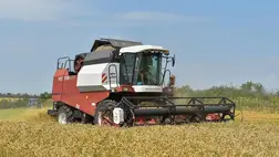 ENSZ: Ukrajna az őszi búza termésének 49%-át el fogja veszíteni a háború miatt