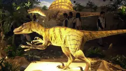 Hatalmas összegért kelt el a Jurassic Park dinócsontváza