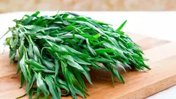 Ez a karakteres fűszer- és gyógynövény csodákat tesz a testeddel