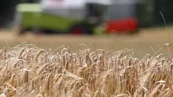 Amerikai agrárminiszter: Washington 2,5 milliárd dollárt különít el a globális gabonaellátás biztosítására