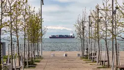 Elvette a tengerészkedvet a koronavírus-járvány, és óriási baj lesz, ha nem jön vissza