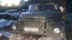 Illegálisan kivágott farönköt foglaltak le a kárpátaljai rendőrök