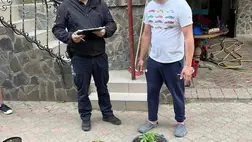 A nagyszőlősi rendőrök házkutatás során kenderültetvényt találtak egy büntetett előéletű férfinál Nagyszőlősön.