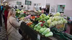 Primőrt tessék! - Ügyeljünk a szezonalitásra