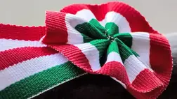 Mit kíván a magyar nemzet? – 1848. március 15., a dicsőséges forradalom