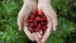 Szuperételek 40 felett: ezekből fogyasszunk minél többet