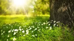 Meteorológiai szolgálat: rekordok dőltek meg csütörtökön