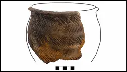 Már 5500 éve eszik a gabonapelyhet tejjel Skóciában