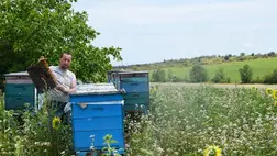 A magyar kormány által felkarolt Egán Ede Gazdaságfejlesztési Programnak köszönhetően számos kárpátaljai méhészetben komoly fejlesztéseket hajtottak végre. 