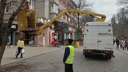 Metszik a fákat Beregszász közterein