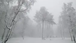 Havazik a Mátrában, a Kékestetőn négy centiméteres a hó vastagsága. A kiemelt kép illusztráció (Fotó: Internet)