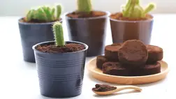  10+1 szuper trükk a kávézacc és a tealevelek újrahasznosítására 