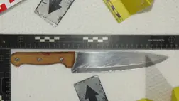 A Fejér vármegyei rendőrök őrizetbe vettek egy 41 éves ukrán férfit, aki lakótársával italozott, majd vita közben bántalmazta és megszúrta a nőt. (Fotó: Police.hu)