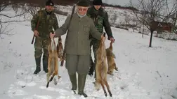  Rókák célkeresztben - Dúvadgyérítés céljából engedélyezték a hajtóvadászatot