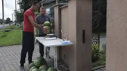 A 2023-a esztendő után idén is slágernövény lehet a dinnye