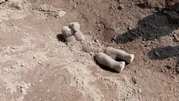 Igazi dráma, ahogy az elefántok rituálisan eltemetik társaikat 