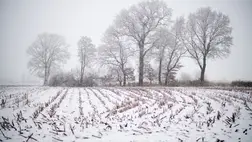 Hiányzik a hideg a földeknek