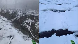 Földcsuszamlás történt Kárpátalján. Fotó: ДП "Ліси України"