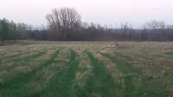 Terítéken a földtulajdonrész legalizálásának kérdése -  Akad, aki még el sem kezdte