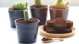 10+1 szuper trükk a kávézacc és a tealevelek újrahasznosítására 