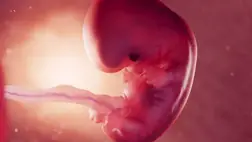 Nagy baj van egy népszerű gyógyszerrel 