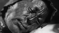 Csontjai fedték fel a rituálisan feláldozott mocsárember titkos életét 