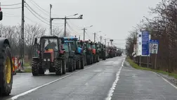 Leváltották a román vámhivatal vezetőjét és az adóhatóság alelnökét az ukrán gabonatranzittal kapcsolatos panaszok miatt. Fotó: DPSZU