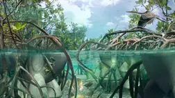 Pontatlanok a tengerszint-emelkedésre vonatkozó jelenlegi prognózisok 