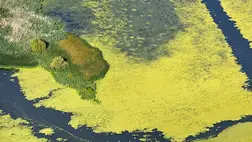 Szenzációs felfedezést tettek a Tisza-tónál 