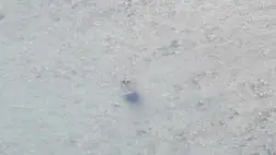 A román határ közelében, a Tisza folyóban egy 33 éves harkivi lakos holttestét találták meg a román határőrök. Fotó: DPSZU