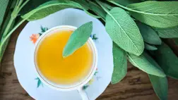  Természetes gyulladáscsökkentő, és rendbe teszi a vércukrot is: a zsályatea 5 áldásos hatása