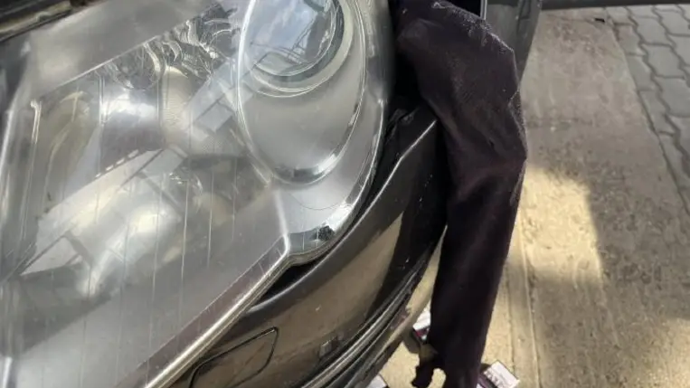 Becky és Ella szagot fogott: Cigicsempész bukott le Lónyánál