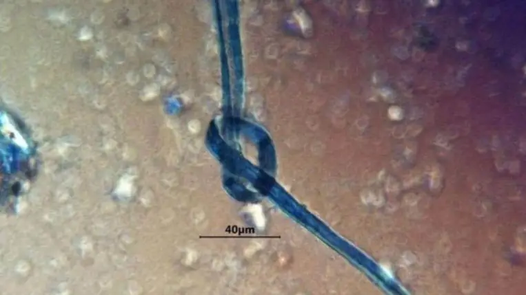 Borzalmas módon ölték meg áldozataikat a maják ebben a barlangban