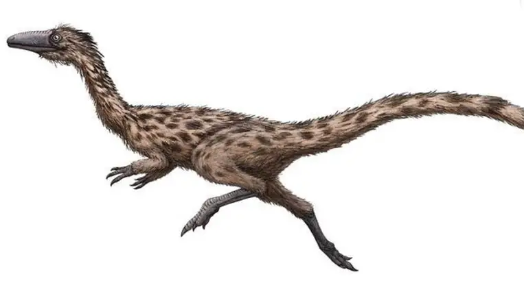 A fürgelábú gyík lett Massachusetts dinoszaurusza