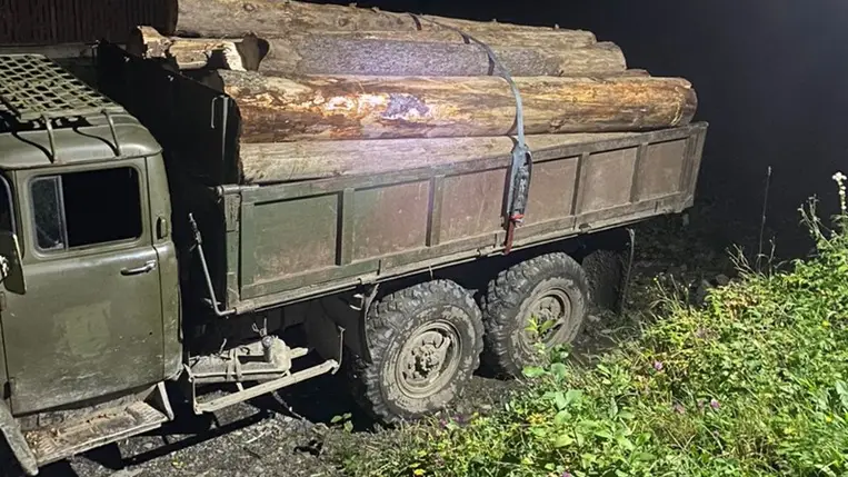 A kárpátaljai rendőrök illegális rönkfa szállítmányt foglaltak le