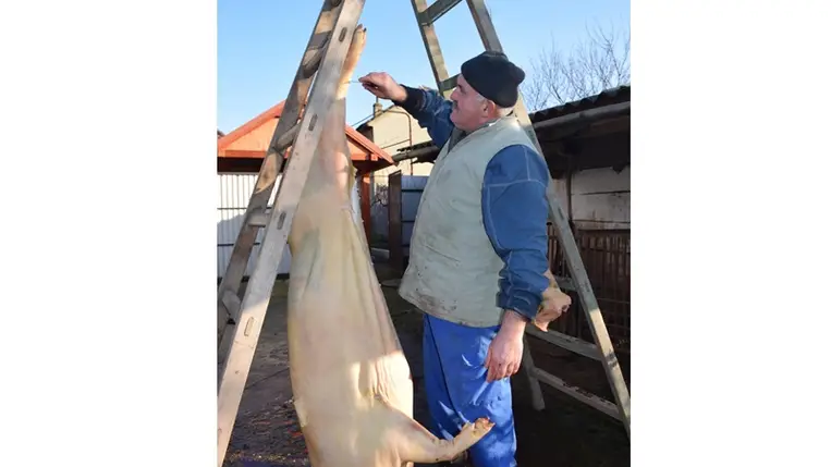 A disznóvágások letűnt aranykora