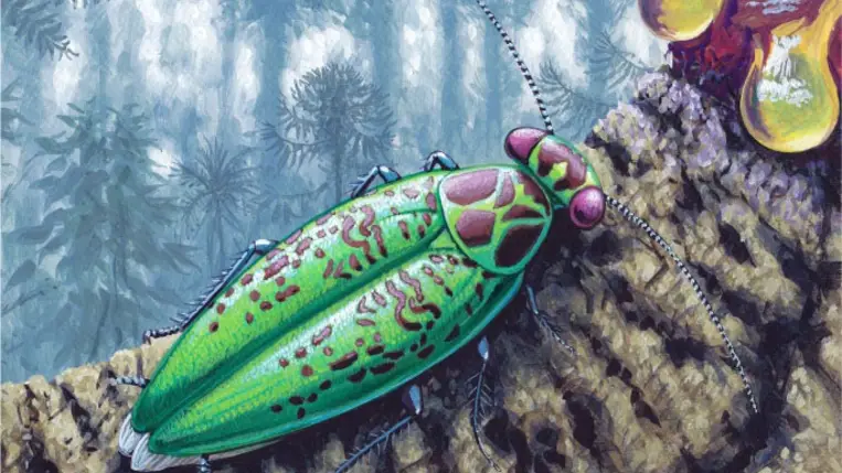 Ismeretlen, már kihalt rovarfajt azonosítottak magyar kutatók egy borostyánban