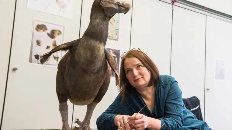 Mint a Jurassic Parkban: felélesztenek több rég kihalt állatfajt