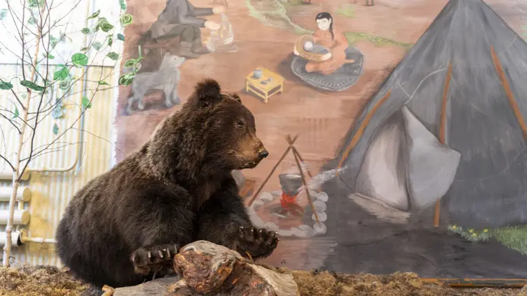 3500 éves medvét találtak, felboncolták