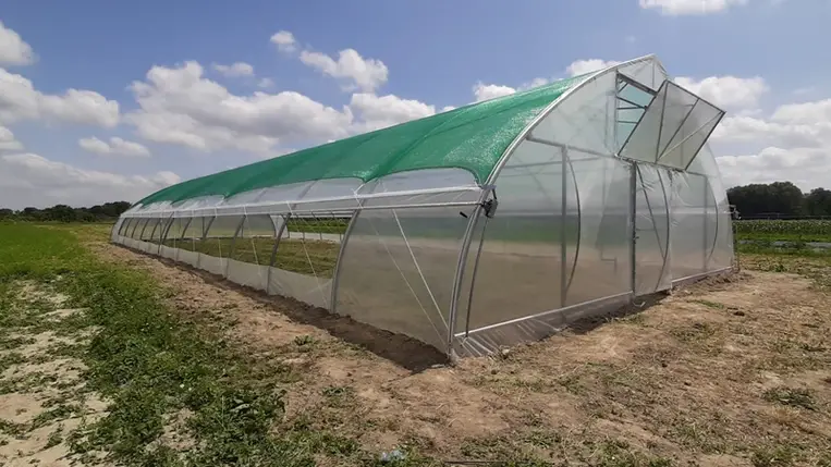 Fóliasátor. Illusztráció