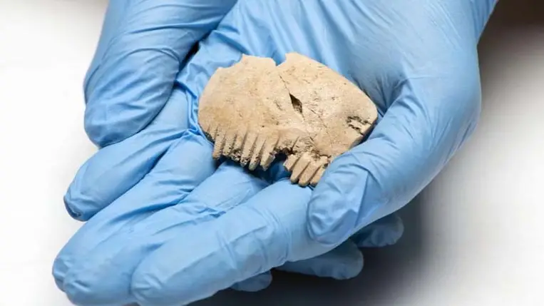 Emberi koponyából készítették ezt a fésűt