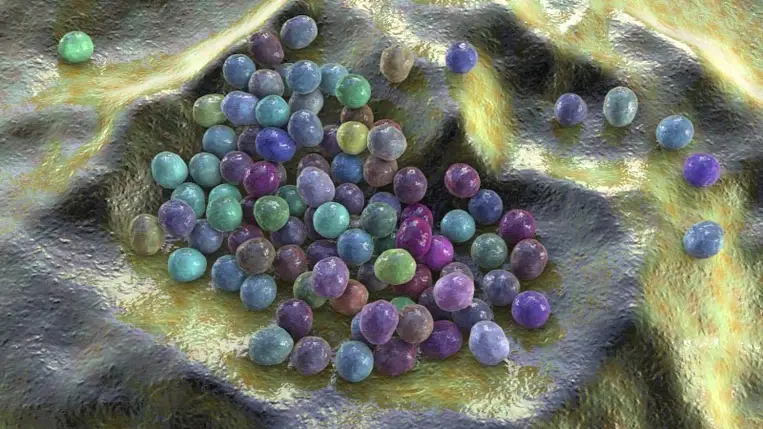 Megdöbbentő felfedezés: baktériumokkal gyógyítják a rákot