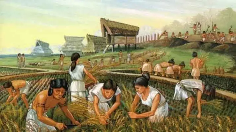 Már 3000 évvel ezelőtt is használtak kábítószert