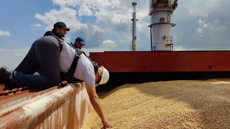 Ukrán gabonaexport. Illusztráció